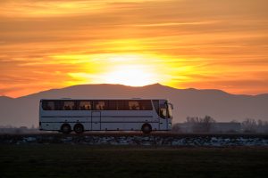Matriculaciones minibuses y buses de agosto de 2024